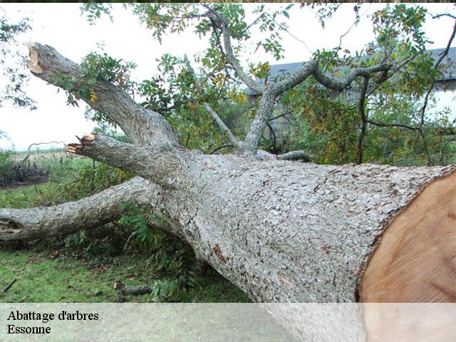 Abattage d'arbres Essonne