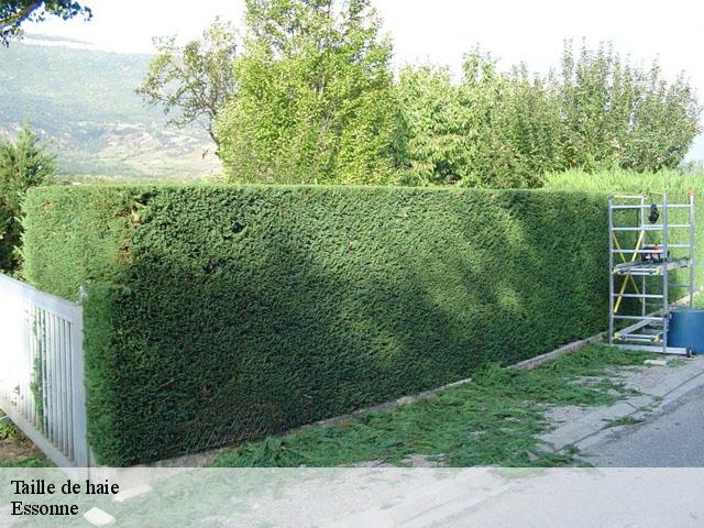 Taille de haie Essonne