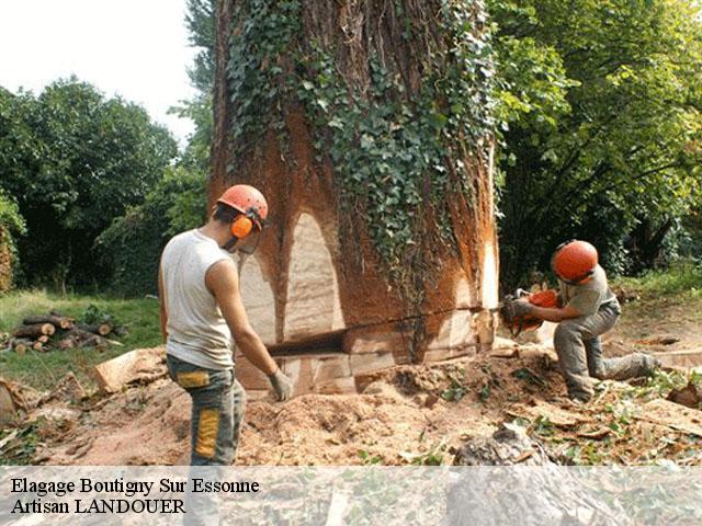 Elagage  boutigny-sur-essonne-91820 Artisan LANDOUER