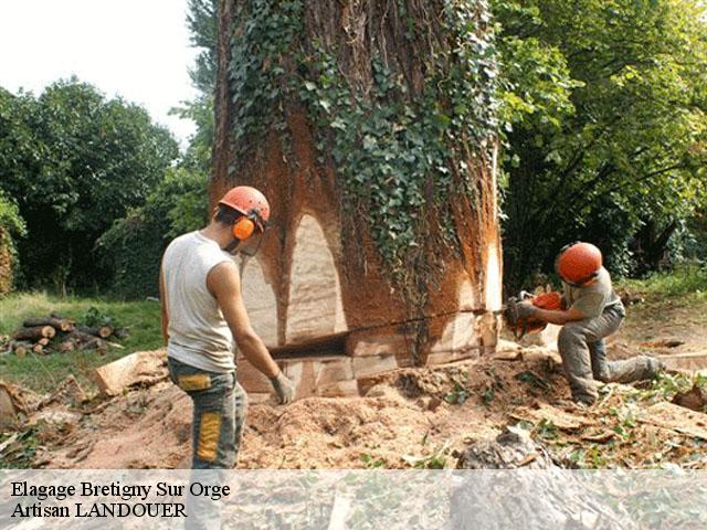 Elagage  bretigny-sur-orge-91220 Artisan LANDOUER