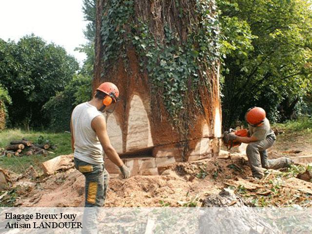 Elagage breux-jouy-91650 Artisan LANDOUER