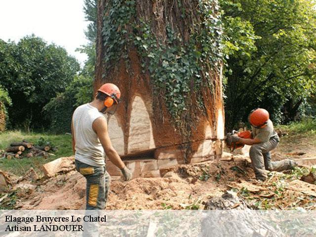 Elagage  bruyeres-le-chatel-91680 Artisan LANDOUER