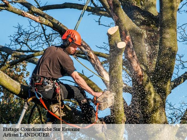 Etetage courdimanche-sur-essonne-91720 Artisan LANDOUER
