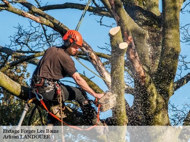 Etetage  forges-les-bains-91470 Artisan LANDOUER