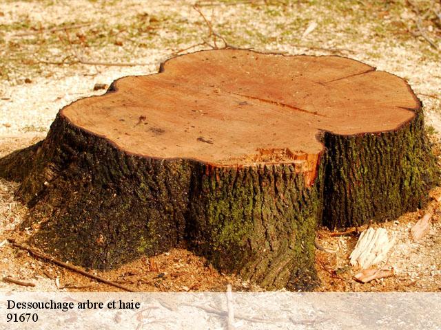 Dessouchage arbre et haie  91670