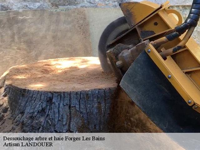 Dessouchage arbre et haie  forges-les-bains-91470 Artisan LANDOUER