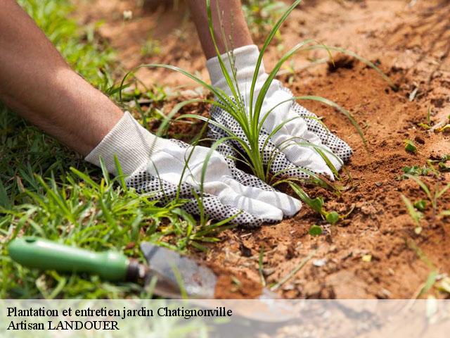 Plantation et entretien jardin  chatignonville-91410 Artisan LANDOUER