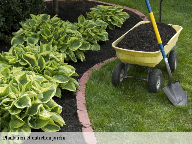 Plantation et entretien jardin