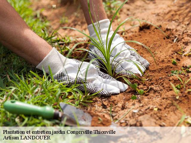 Plantation et entretien jardin congerville-thionville-91740 Artisan LANDOUER