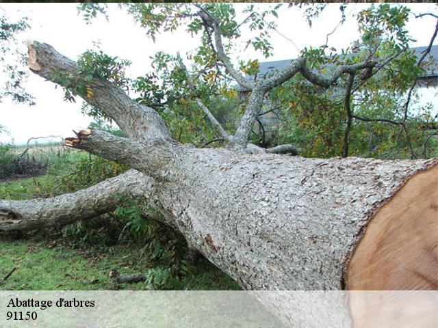 Abattage d'arbres  91150