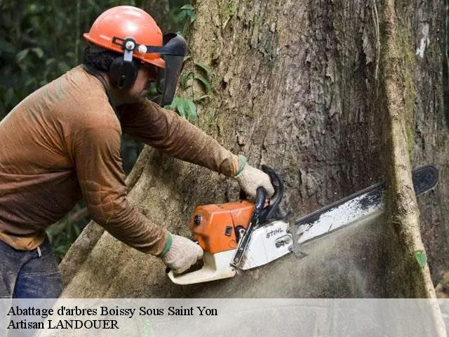 Abattage d'arbres  boissy-sous-saint-yon-91790 Artisan LANDOUER