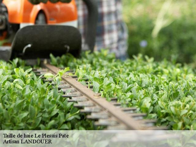 Taille de haie le-plessis-pate-91220 Artisan LANDOUER