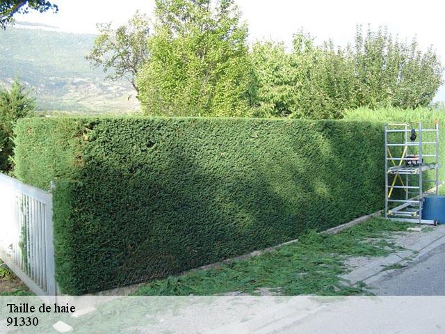 Taille de haie 91330