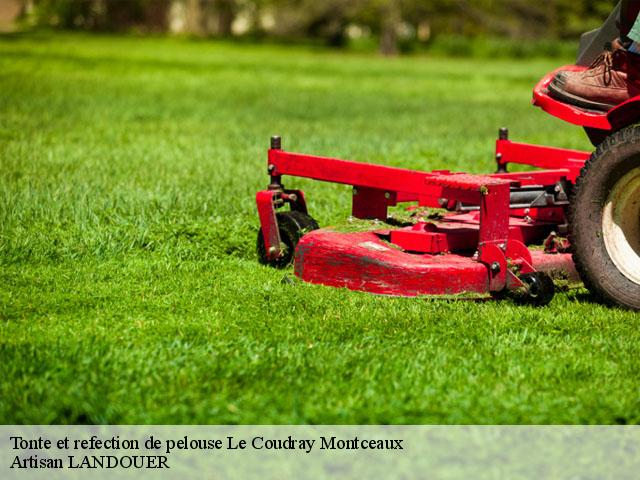 Tonte et refection de pelouse  le-coudray-montceaux-91830 Artisan LANDOUER