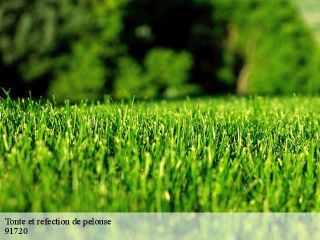 Tonte et refection de pelouse 91720