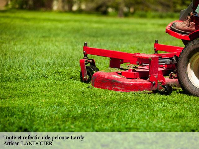 Tonte et refection de pelouse  lardy-91510 Artisan LANDOUER